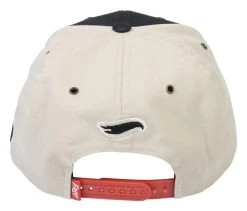 Fasthouse Dash Hot Wheels Snapback Hat -Riding Equipment Store fasthouse dash hot wheels hat black 4